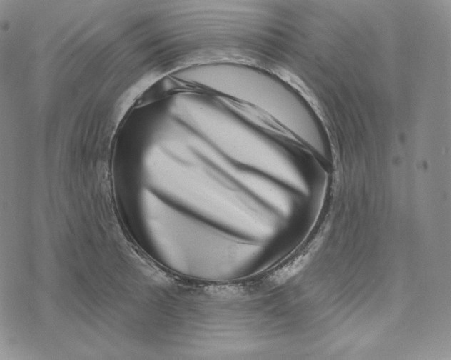 X0000074011089200609111617