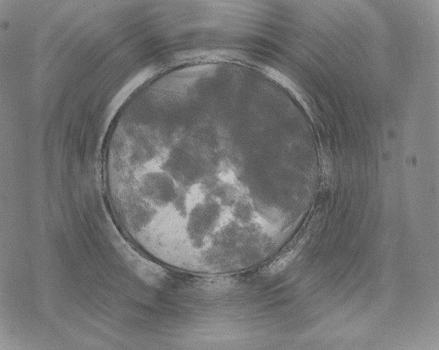 X0000074011090200609111617