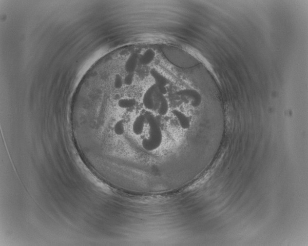 X0000074011091200609111617