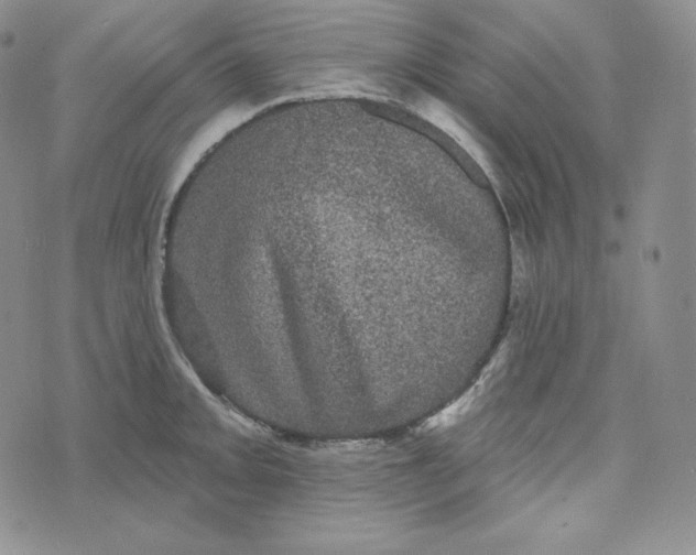 X0000074011093200609111617