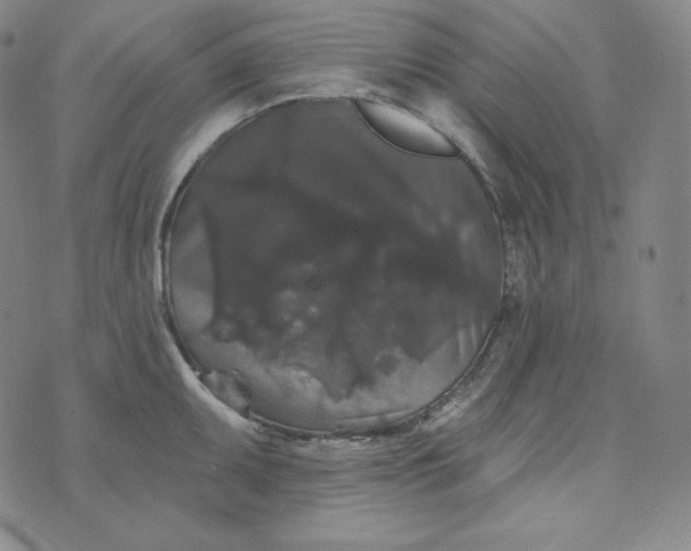 X0000074011095200609111617