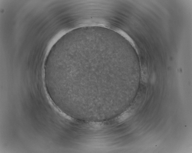 X0000074011096200609111617