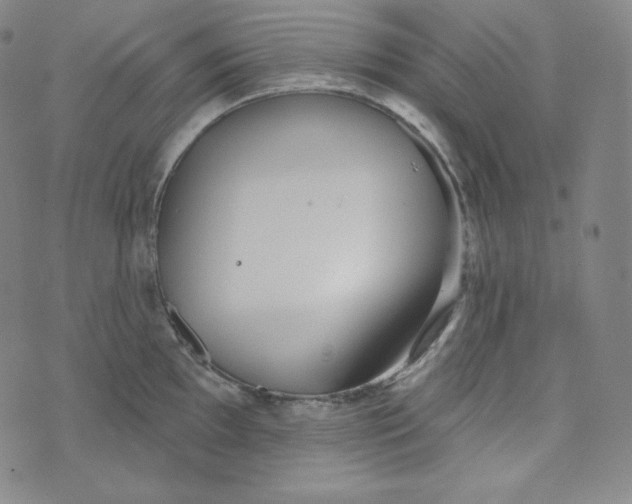 X0000074011097200609111617