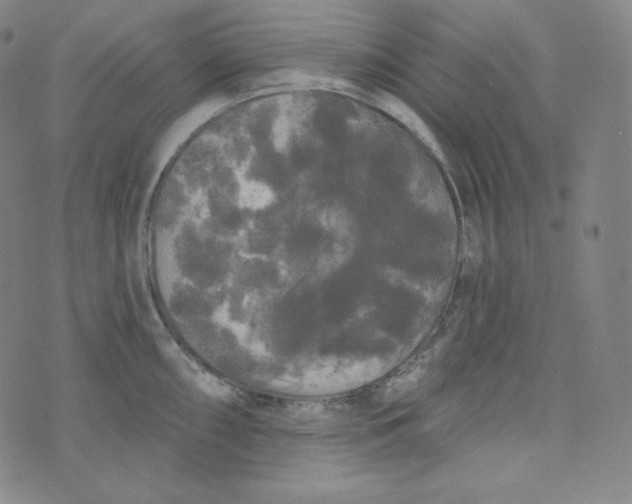 X0000074011098200609111617