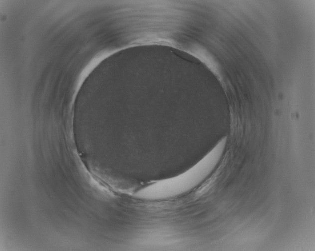 X0000074011102200609111617