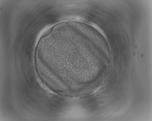 X0000074011104200609111617