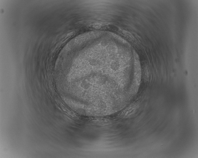 X0000074011105200609111616