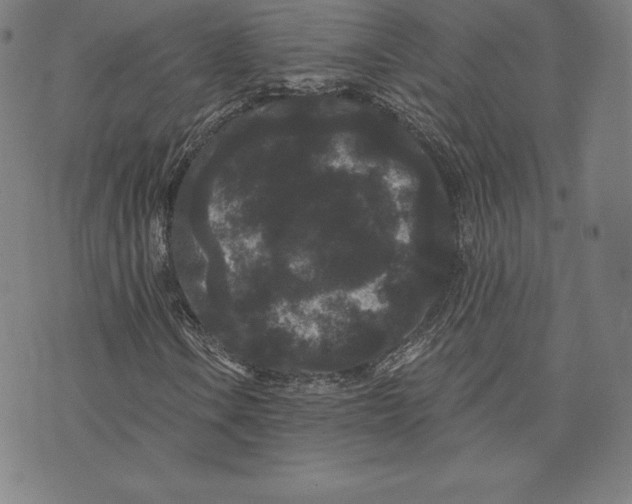 X0000074011106200609111616