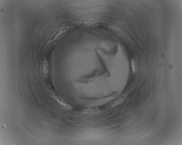 X0000074011107200609111616