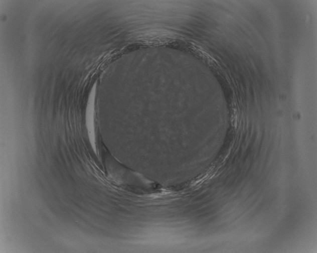 X0000074011108200609111616