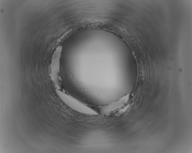 X0000074011109200609111616