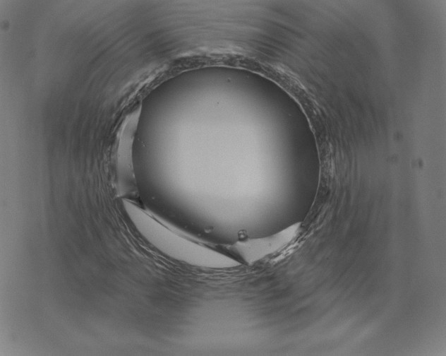 X0000074011110200609111616