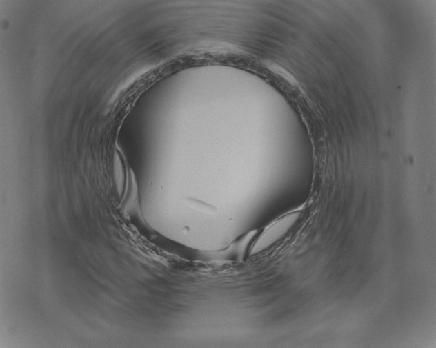 X0000074011112200609111616