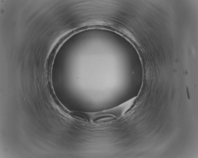 X0000074011116200609111617