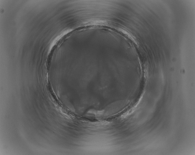 X0000074011117200609111617