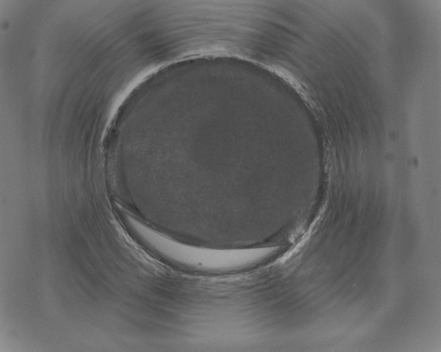 X0000074011118200609111617