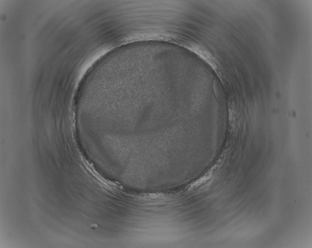 X0000074011119200609111617