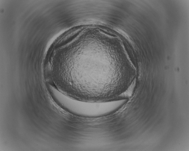 X0000074011120200609111617