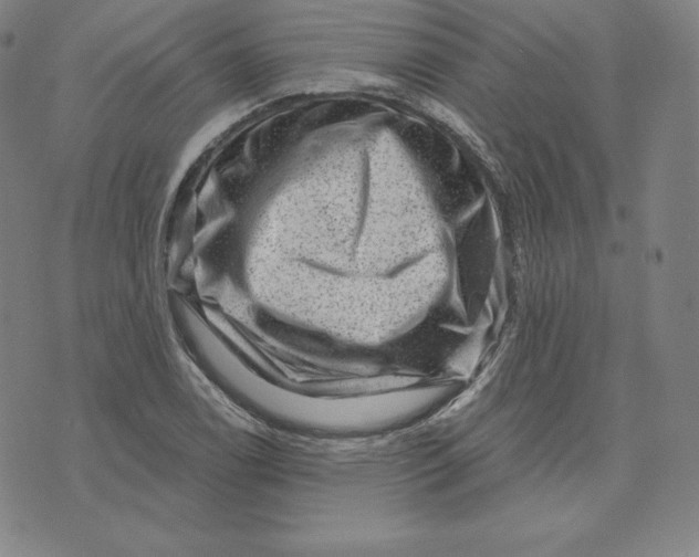 X0000074011122200609111617