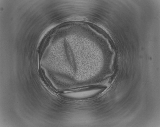 X0000074011123200609111617