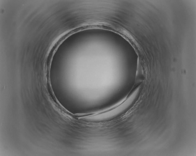 X0000074011124200609111617