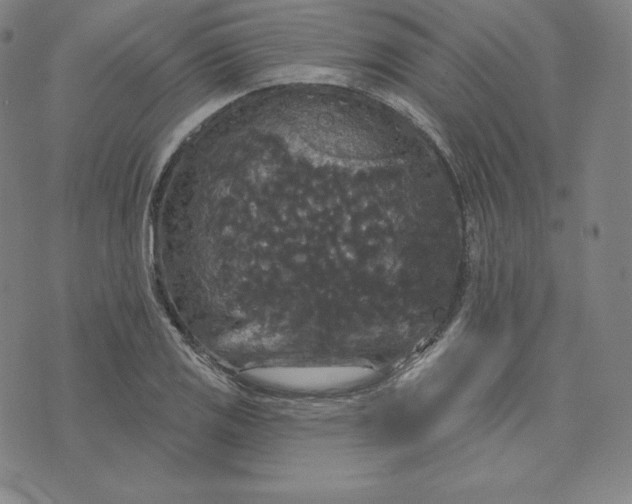 X0000074011125200609111617