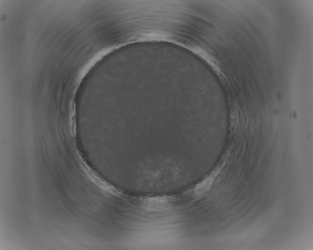 X0000074011126200609111617