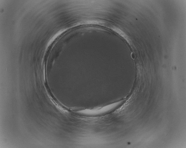 X0000074011127200609111617