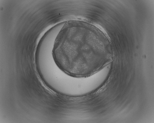 X0000074011128200609111617