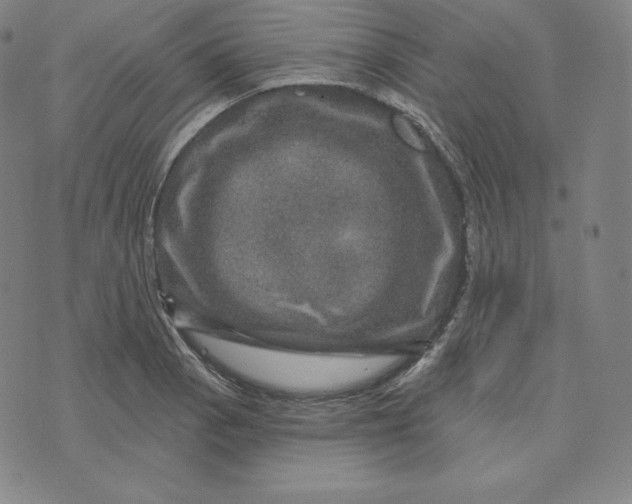 X0000074011129200609111617