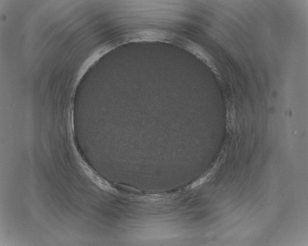 X0000074011130200609111617