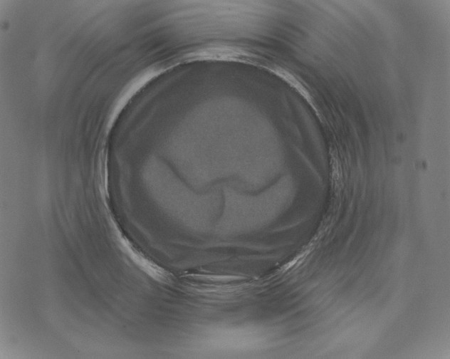 X0000074011131200609111617