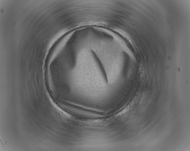 X0000074011135200609111617