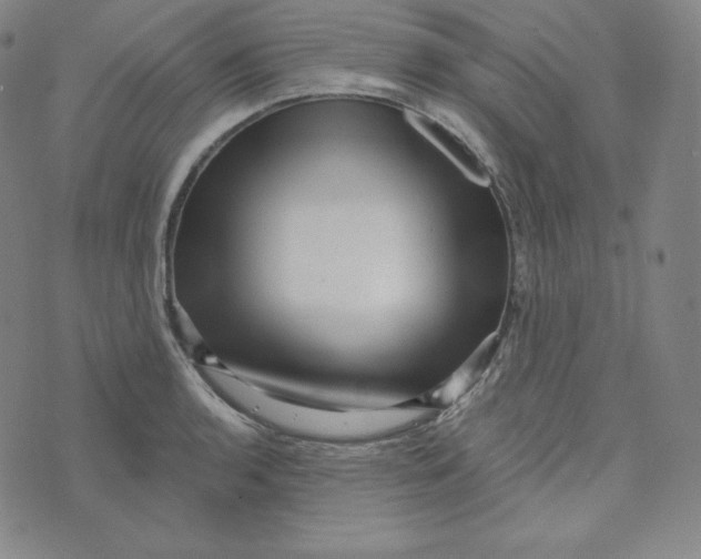 X0000074011136200609111617