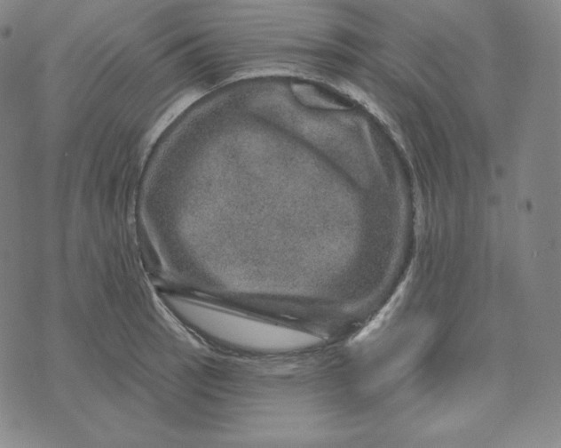 X0000074011137200609111617