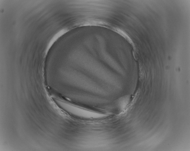 X0000074011138200609111617