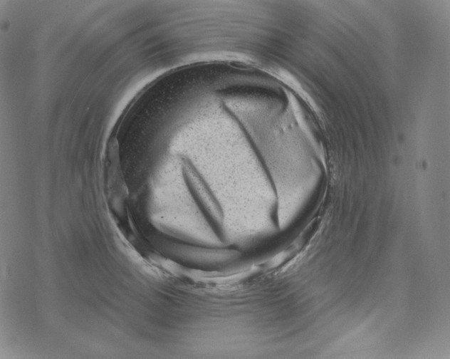 X0000074011140200609111617