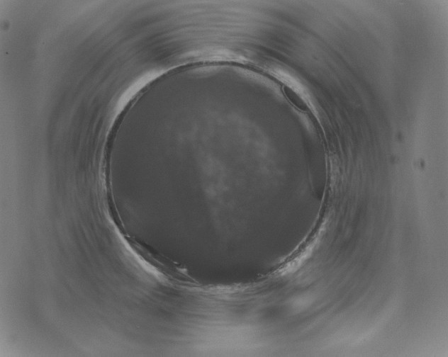 X0000074011141200609111617