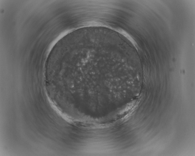 X0000074011142200609111617