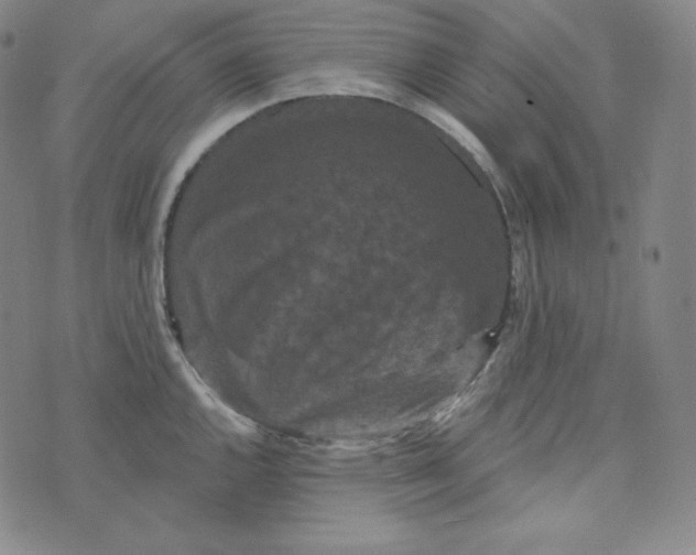 X0000074011144200609111617