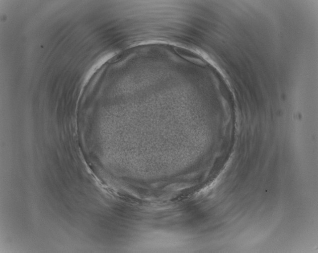 X0000074011145200609111617