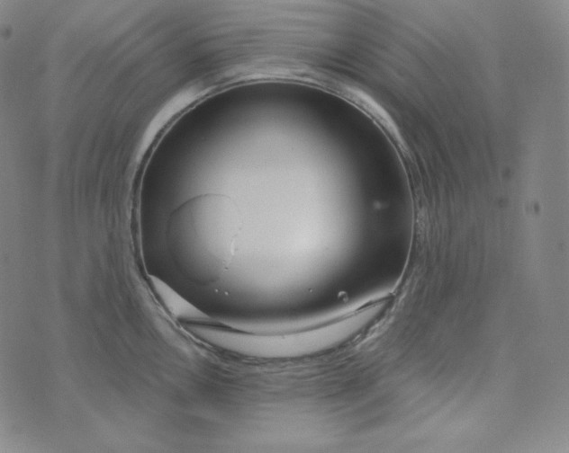 X0000074011146200609111617