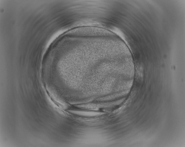 X0000074011147200609111617