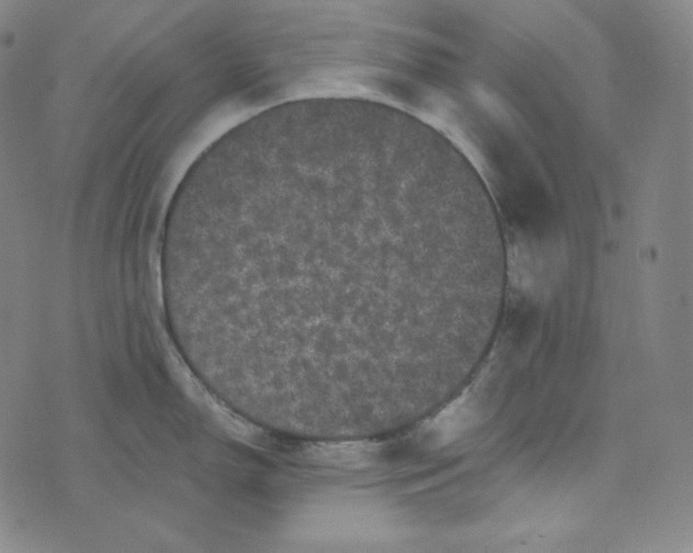 X0000074011150200609111617