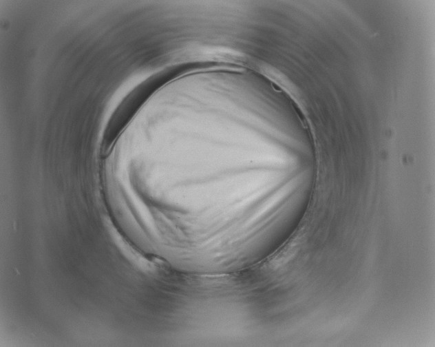 X0000074011152200609111617