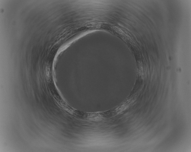 X0000074011154200609111616