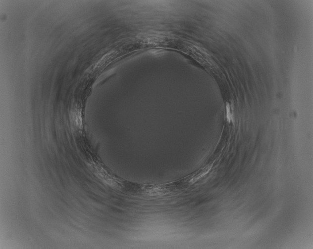 X0000074011155200609111616