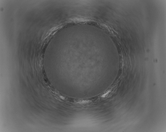 X0000074011157200609111616