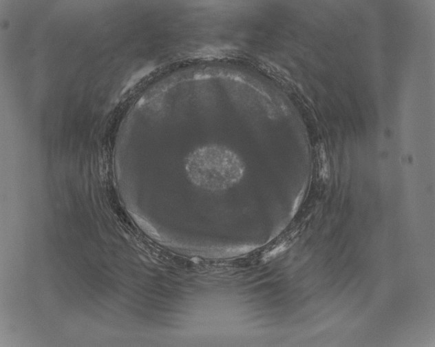 X0000074011158200609111616