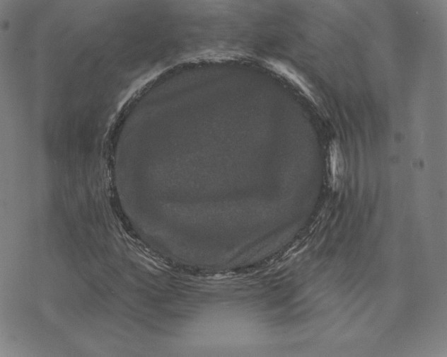 X0000074011160200609111616